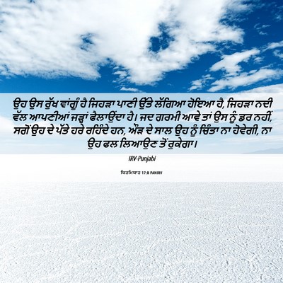 Picture 06 - ਯਿਰਮਿਯਾਹ 17:8 PANIRV - ਉਹ ਉਸ ਰੁੱਖ ਵਾਂਗੂੰ - Bible Verse Picture