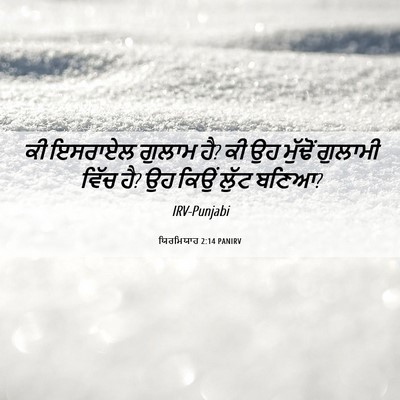 Picture 06 - ਯਿਰਮਿਯਾਹ 2:14 PANIRV - ਕੀ ਇਸਰਾਏਲ ਗੁਲਾਮ ਹੈ? - Bible Verse Picture