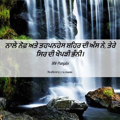 Picture 06 - ਯਿਰਮਿਯਾਹ 2:16 PANIRV - ਨਾਲੇ ਨੋਫ਼ ਅਤੇ - Bible Verse Picture