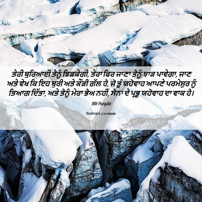 Picture 06 - ਯਿਰਮਿਯਾਹ 2:19 PANIRV - ਤੇਰੀ ਬੁਰਿਆਈ ਤੈਨੂੰ - Bible Verse Picture
