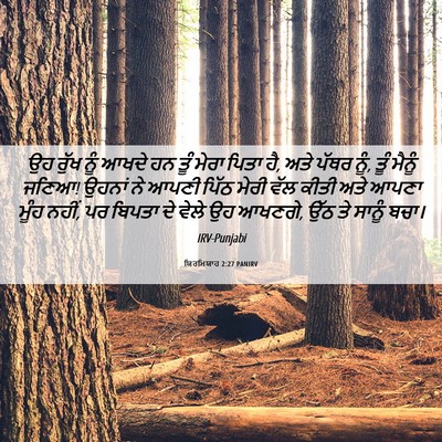 Picture 06 - ਯਿਰਮਿਯਾਹ 2:27 PANIRV - ਉਹ ਰੁੱਖ ਨੂੰ ਆਖਦੇ ਹਨ - Bible Verse Picture