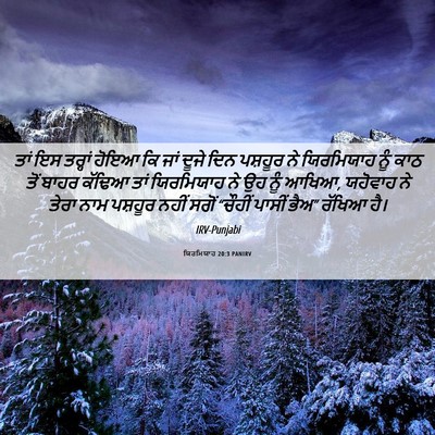 Picture 06 - ਯਿਰਮਿਯਾਹ 20:3 PANIRV - ਤਾਂ ਇਸ ਤਰ੍ਹਾਂ ਹੋਇਆ - Bible Verse Picture