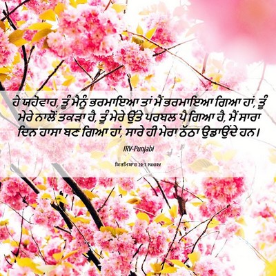 Picture 06 - ਯਿਰਮਿਯਾਹ 20:7 PANIRV - ਹੇ ਯਹੋਵਾਹ, ਤੂੰ - Bible Verse Picture