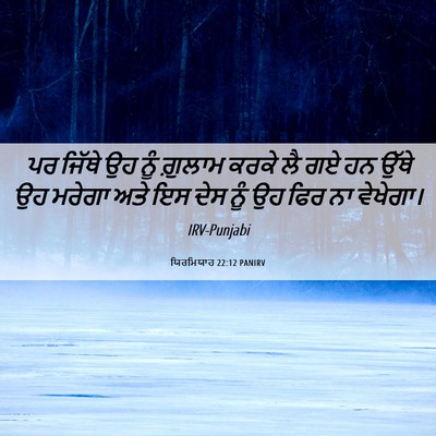 Picture 06 - ਯਿਰਮਿਯਾਹ 22:12 PANIRV - ਪਰ ਜਿੱਥੇ ਉਹ ਨੂੰ - Bible Verse Picture