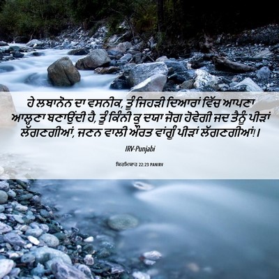 Picture 06 - ਯਿਰਮਿਯਾਹ 22:23 PANIRV - ਹੇ ਲਬਾਨੋਨ ਦਾ ਵਸਨੀਕ, - Bible Verse Picture