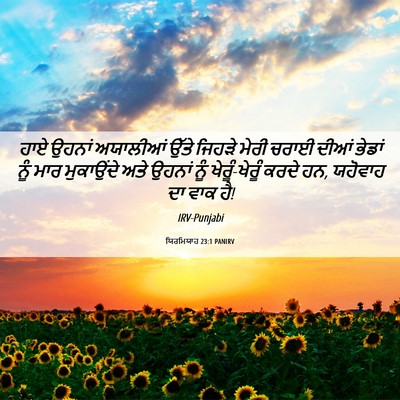 Picture 06 - ਯਿਰਮਿਯਾਹ 23:1 PANIRV - ਹਾਏ ਉਹਨਾਂ ਅਯਾਲੀਆਂ - Bible Verse Picture