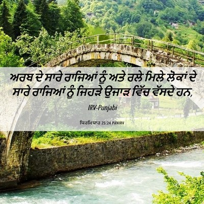 Picture 06 - ਯਿਰਮਿਯਾਹ 25:24 PANIRV - ਅਰਬ ਦੇ ਸਾਰੇ ਰਾਜਿਆਂ - Bible Verse Picture