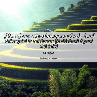 Picture 06 - ਯਿਰਮਿਯਾਹ 26:4 PANIRV - ਤੂੰ ਉਹਨਾਂ ਨੂੰ ਆਖ, - Bible Verse Picture