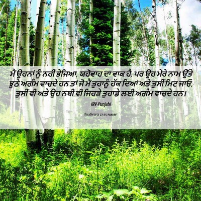Picture 06 - ਯਿਰਮਿਯਾਹ 27:15 PANIRV - ਮੈਂ ਉਹਨਾਂ ਨੂੰ ਨਹੀਂ - Bible Verse Picture