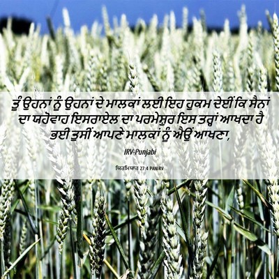 Picture 06 - ਯਿਰਮਿਯਾਹ 27:4 PANIRV - ਤੂੰ ਉਹਨਾਂ ਨੂੰ - Bible Verse Picture