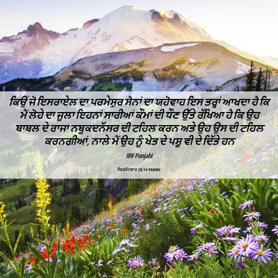 Picture 06 - ਯਿਰਮਿਯਾਹ 28:14 PANIRV - ਕਿਉਂ ਜੋ ਇਸਰਾਏਲ ਦਾ - Bible Verse Picture