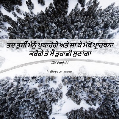 Picture 06 - ਯਿਰਮਿਯਾਹ 29:12 PANIRV - ਤਦ ਤੁਸੀਂ ਮੈਨੂੰ - Bible Verse Picture