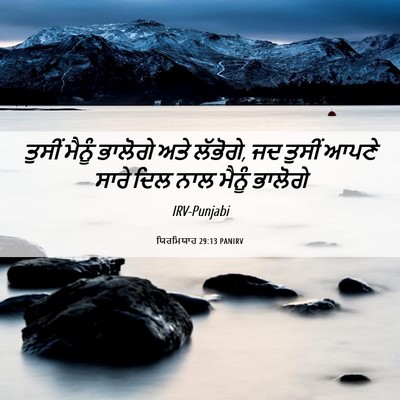 Picture 06 - ਯਿਰਮਿਯਾਹ 29:13 PANIRV - ਤੁਸੀਂ ਮੈਨੂੰ - Bible Verse Picture