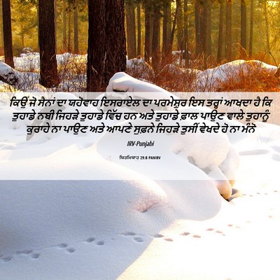 Picture 06 - ਯਿਰਮਿਯਾਹ 29:8 PANIRV - ਕਿਉਂ ਜੋ ਸੈਨਾਂ ਦਾ - Bible Verse Picture