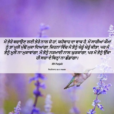 Picture 06 - ਯਿਰਮਿਯਾਹ 30:11 PANIRV - ਮੈਂ ਤੇਰੇ ਬਚਾਉਣ ਲਈ - Bible Verse Picture