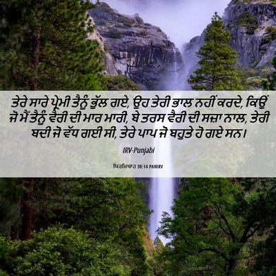 Picture 06 - ਯਿਰਮਿਯਾਹ 30:14 PANIRV - ਤੇਰੇ ਸਾਰੇ ਪ੍ਰੇਮੀ - Bible Verse Picture