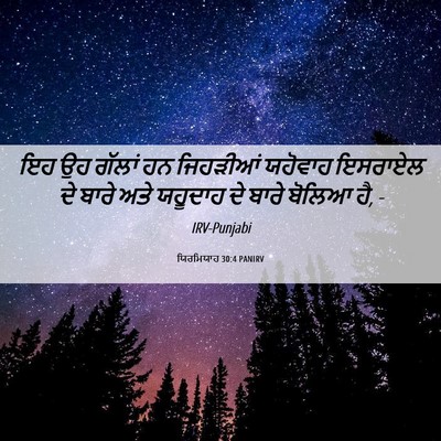Picture 06 - ਯਿਰਮਿਯਾਹ 30:4 PANIRV - ਇਹ ਉਹ ਗੱਲਾਂ ਹਨ - Bible Verse Picture