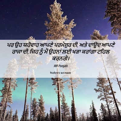 Picture 06 - ਯਿਰਮਿਯਾਹ 30:9 PANIRV - ਪਰ ਉਹ ਯਹੋਵਾਹ ਆਪਣੇ - Bible Verse Picture