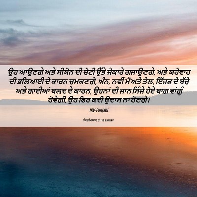 Picture 06 - ਯਿਰਮਿਯਾਹ 31:12 PANIRV - ਉਹ ਆਉਣਗੇ ਅਤੇ ਸੀਯੋਨ - Bible Verse Picture