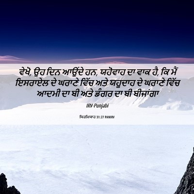 Picture 06 - ਯਿਰਮਿਯਾਹ 31:27 PANIRV - ਵੇਖੋ, ਉਹ ਦਿਨ ਆਉਂਦੇ - Bible Verse Picture