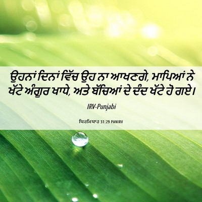 Picture 06 - ਯਿਰਮਿਯਾਹ 31:29 PANIRV - ਉਹਨਾਂ ਦਿਨਾਂ ਵਿੱਚ - Bible Verse Picture
