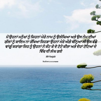 Picture 06 - ਯਿਰਮਿਯਾਹ 34:18 PANIRV - ਮੈਂ ਉਹਨਾਂ ਮਨੁੱਖਾਂ - Bible Verse Picture