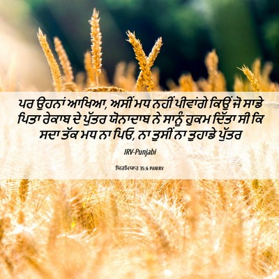 Picture 06 - ਯਿਰਮਿਯਾਹ 35:6 PANIRV - ਪਰ ਉਹਨਾਂ ਆਖਿਆ, ਅਸੀਂ - Bible Verse Picture
