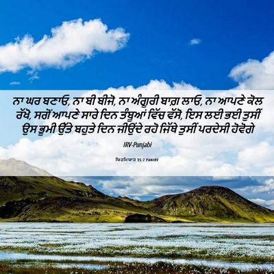 Picture 06 - ਯਿਰਮਿਯਾਹ 35:7 PANIRV - ਨਾ ਘਰ ਬਣਾਓ, ਨਾ ਬੀ - Bible Verse Picture