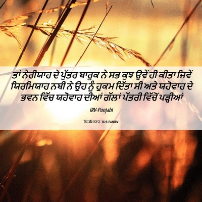 Picture 06 - ਯਿਰਮਿਯਾਹ 36:8 PANIRV - ਤਾਂ ਨੇਰੀਯਾਹ ਦੇ - Bible Verse Picture