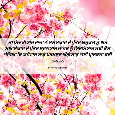 Picture 06 - ਯਿਰਮਿਯਾਹ 37:3 PANIRV - ਤਾਂ ਸਿਦਕੀਯਾਹ ਰਾਜਾ - Bible Verse Picture