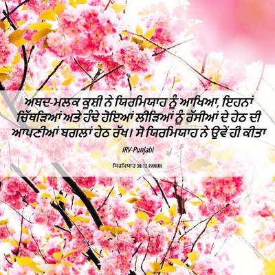 Picture 06 - ਯਿਰਮਿਯਾਹ 38:12 PANIRV - ਅਬਦ-ਮਲਕ ਕੂਸ਼ੀ ਨੇ - Bible Verse Picture