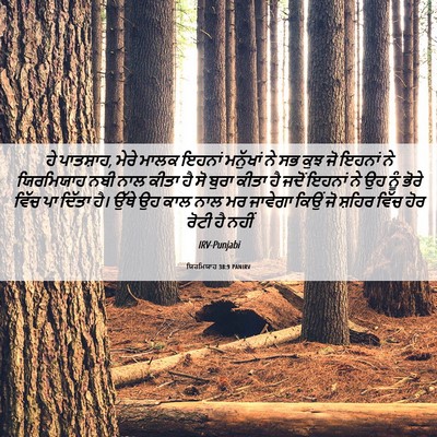 Picture 06 - ਯਿਰਮਿਯਾਹ 38:9 PANIRV - ਹੇ ਪਾਤਸ਼ਾਹ, ਮੇਰੇ - Bible Verse Picture