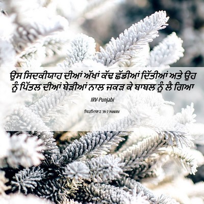 Picture 06 - ਯਿਰਮਿਯਾਹ 39:7 PANIRV - ਉਸ ਸਿਦਕੀਯਾਹ ਦੀਆਂ - Bible Verse Picture