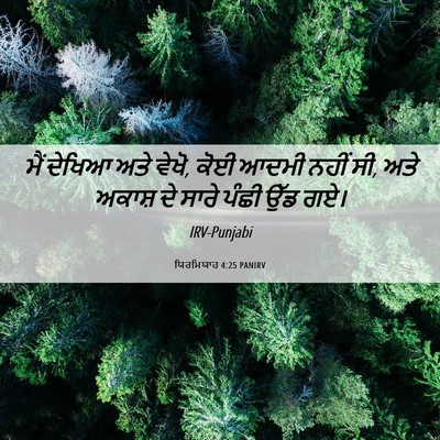 Picture 06 - ਯਿਰਮਿਯਾਹ 4:25 PANIRV - ਮੈਂ ਦੇਖਿਆ ਅਤੇ ਵੇਖੋ, - Bible Verse Picture
