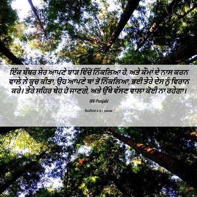 Picture 06 - ਯਿਰਮਿਯਾਹ 4:7 PANIRV - ਇੱਕ ਬੱਬਰ ਸ਼ੇਰ ਆਪਣੇ - Bible Verse Picture