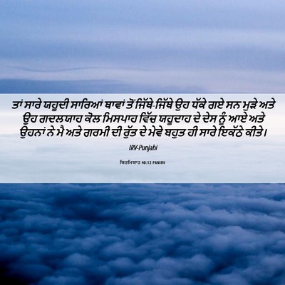 Picture 06 - ਯਿਰਮਿਯਾਹ 40:12 PANIRV - ਤਾਂ ਸਾਰੇ ਯਹੂਦੀ - Bible Verse Picture