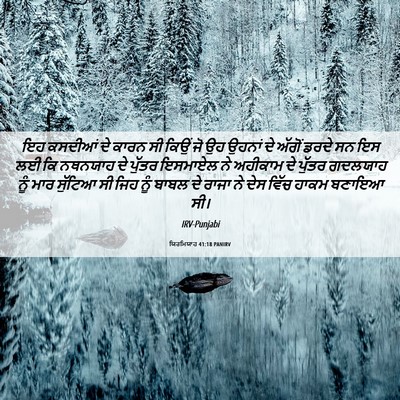Picture 06 - ਯਿਰਮਿਯਾਹ 41:18 PANIRV - ਇਹ ਕਸਦੀਆਂ ਦੇ ਕਾਰਨ - Bible Verse Picture