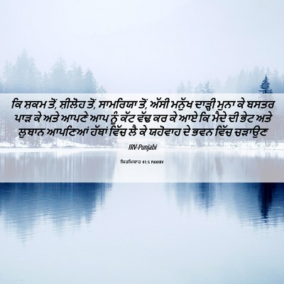 Picture 06 - ਯਿਰਮਿਯਾਹ 41:5 PANIRV - ਕਿ ਸ਼ਕਮ ਤੋਂ, ਸ਼ੀਲੋਹ - Bible Verse Picture