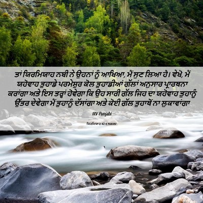 Picture 06 - ਯਿਰਮਿਯਾਹ 42:4 PANIRV - ਤਾਂ ਯਿਰਮਿਯਾਹ ਨਬੀ - Bible Verse Picture