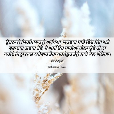 Picture 06 - ਯਿਰਮਿਯਾਹ 42:5 PANIRV - ਉਹਨਾਂ ਨੇ ਯਿਰਮਿਯਾਹ - Bible Verse Picture