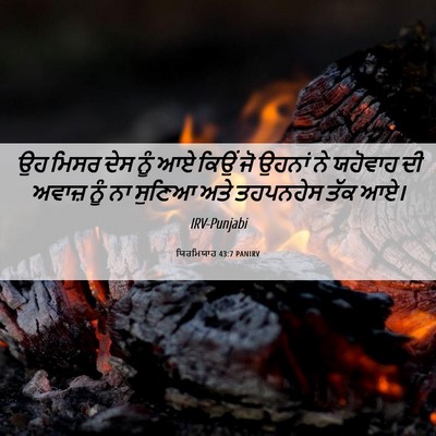 Picture 06 - ਯਿਰਮਿਯਾਹ 43:7 PANIRV - ਉਹ ਮਿਸਰ ਦੇਸ ਨੂੰ ਆਏ - Bible Verse Picture