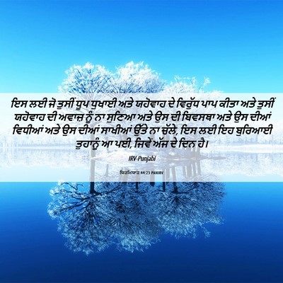 Picture 06 - ਯਿਰਮਿਯਾਹ 44:23 PANIRV - ਇਸ ਲਈ ਜੋ ਤੁਸੀਂ ਧੂਪ - Bible Verse Picture