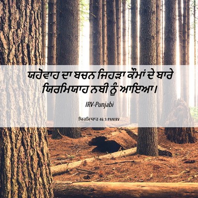 Picture 06 - ਯਿਰਮਿਯਾਹ 46:1 PANIRV - ਯਹੋਵਾਹ ਦਾ ਬਚਨ - Bible Verse Picture