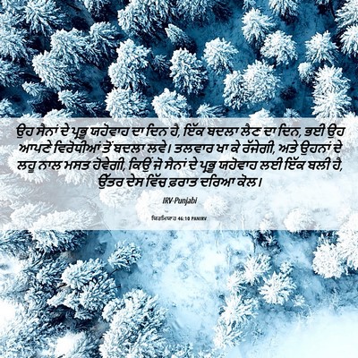 Picture 06 - ਯਿਰਮਿਯਾਹ 46:10 PANIRV - ਉਹ ਸੈਨਾਂ ਦੇ ਪ੍ਰਭੂ - Bible Verse Picture