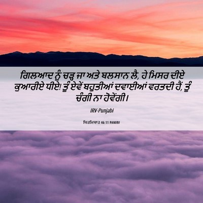 Picture 06 - ਯਿਰਮਿਯਾਹ 46:11 PANIRV - ਗਿਲਆਦ ਨੂੰ ਚੜ੍ਹ ਜਾ - Bible Verse Picture