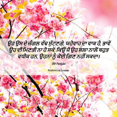 Picture 06 - ਯਿਰਮਿਯਾਹ 46:23 PANIRV - ਉਹ ਉਸ ਦੇ ਜੰਗਲ ਵੱਢ - Bible Verse Picture