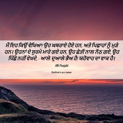 Picture 06 - ਯਿਰਮਿਯਾਹ 46:5 PANIRV - ਮੈਂ ਇਹ ਕਿਉਂ ਵੇਖਿਆ? - Bible Verse Picture