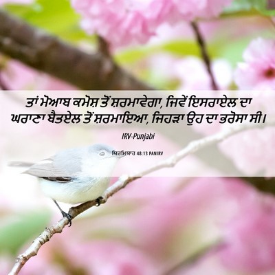 Picture 06 - ਯਿਰਮਿਯਾਹ 48:13 PANIRV - ਤਾਂ ਮੋਆਬ ਕਮੋਸ਼ ਤੋਂ - Bible Verse Picture