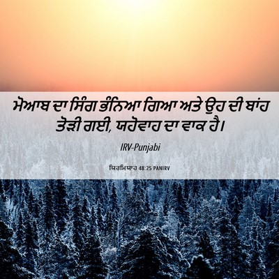 Picture 06 - ਯਿਰਮਿਯਾਹ 48:25 PANIRV - ਮੋਆਬ ਦਾ ਸਿੰਗ ਭੰਨਿਆ - Bible Verse Picture