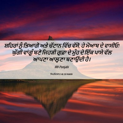 Picture 06 - ਯਿਰਮਿਯਾਹ 48:28 PANIRV - ਸ਼ਹਿਰਾਂ ਨੂੰ ਤਿਆਗੋ - Bible Verse Picture